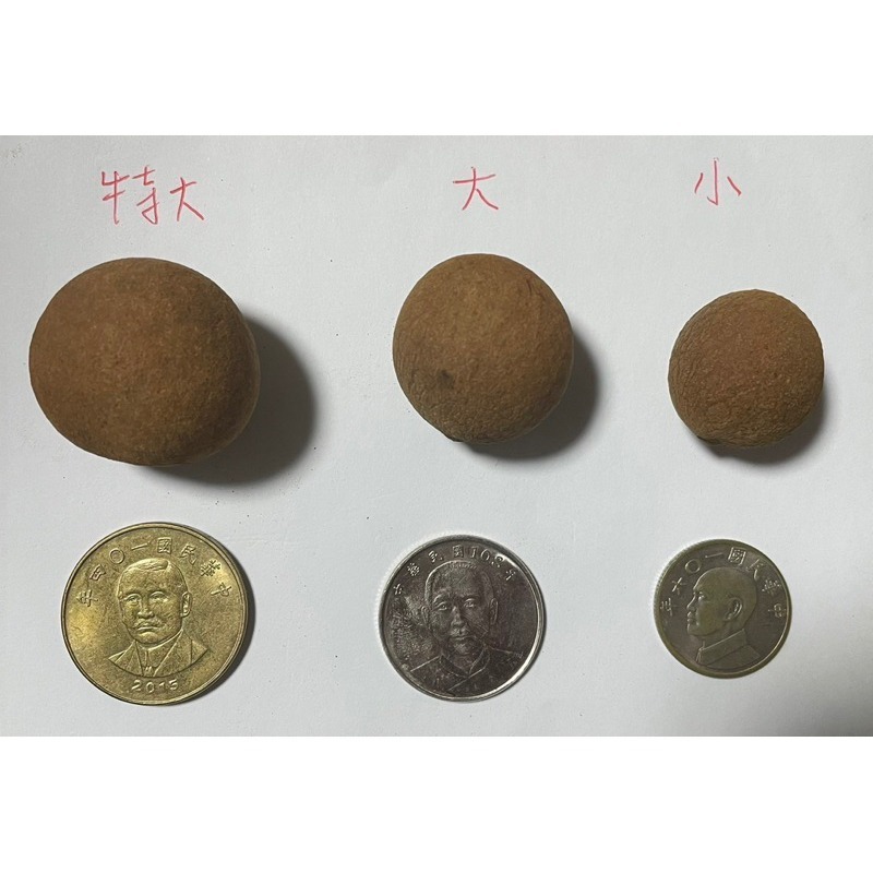 「2025 新貨」古早味柴燒龍眼乾 員林特產 自產自銷 優惠價 送禮首選 (蝦皮同步販售中)-細節圖3